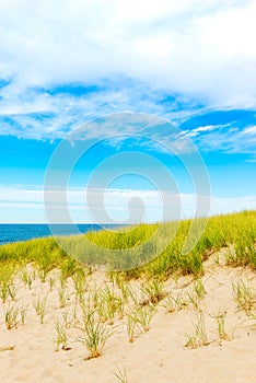 Grassy Dune on Cape Cod Shore