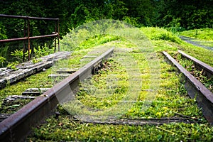 Grassy end of the road on the tracks.