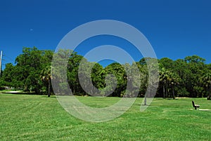 Grassy field with blue skies in a nature preserve in Sarasota Florida