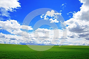 Grassy Field and Blue Sky