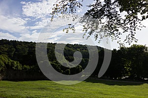 Grassy field and forest in united kingdom