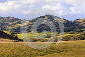Grassy field and green rolling hills of Mt. Burdell in Marin County, California