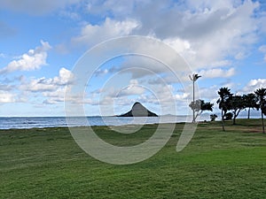 Grassy field with ocean and island view at Kualoa Regional Park photo