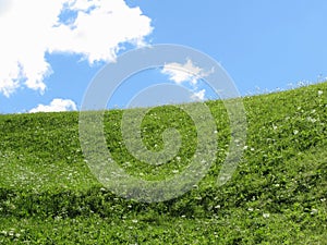 Grassy field at the rolling hill against the blue sky