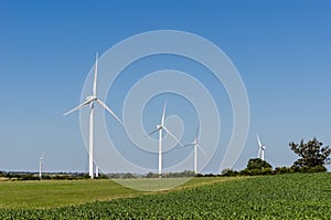 Grassy field with several large wind turbines near Tarariras, Colonia. photo