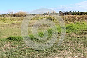 Grassy fields at Big Swamp Bunbury West Australia