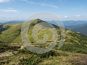 Trávnaté zelené kopce a svahy na hrebeni nízkych tatier s turistickým chodníkom, horskou lúkou borovíc