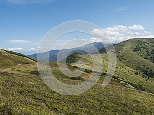 Travnaté zelené kopce a svahy na hřebeni pohoří nízké tatry s pěší stezkou turistické stezky, horské louky a borovice