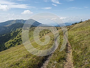 Grassy green hills and slopes at ridge of Low Tatras mountains with hiking trail footpath, mountain meadow, and pine