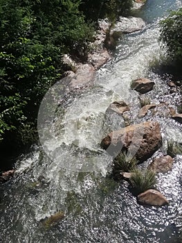 Grassy greeny nature& x27;s  upliftment