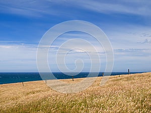 Grassy hill background