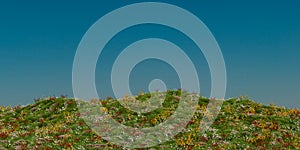 a grassy hill with flowers on it and a blue sky in the background with a few clouds, 3D render