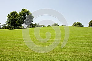 Grassy Hill in Park photo