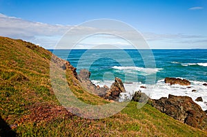 Grassy hill and rocks on seashore at Port Macquarie Australia