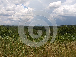 Grassy hillside landscape