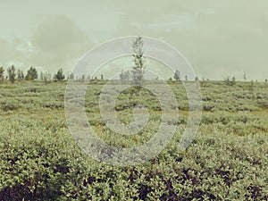 Photo of Grassy landscape in country side