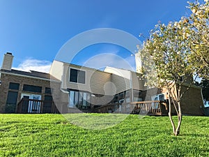 Grassy lawn backyard of townhouse complex in suburban DFW, Texas