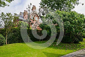 Grassy lawn before hedged European-style houses in sunny autumn