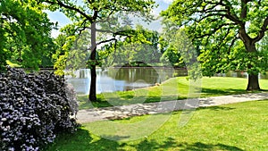 On the grassy lawn next to the walkway in the city park on the shore of the lake grow oaks . Their branches are spread wide and yo