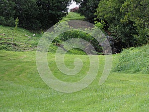 Grassy lea near Altamira cave in Spain