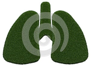 Grassy lungs on white background. digital illustration. 3d rendering