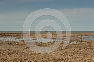 Grassy marshes in front of the Aral sea ,fishing vessel on the horizon