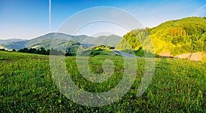 grassy meadow of carpathian mountains in summer