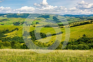 Grassy meadows and forested hill