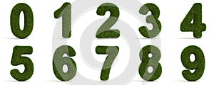 Grassy Numbers
