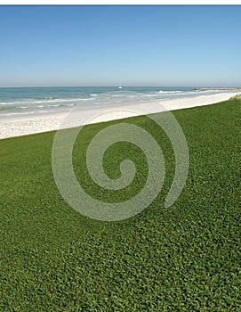 Grassy Ocean View