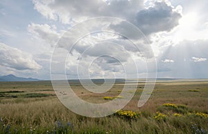 A grassy plain under a cloudy sky with rays of light shining through the clouds