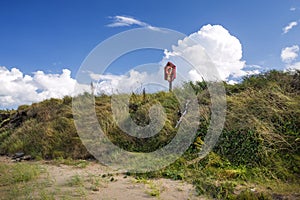 Grassy sea shore and lifebuoy.