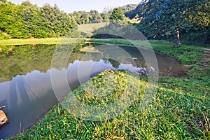 Grassy shore with apple tree on Bakomi tajch water reservoir in Stiavnicke Vrchy mountains