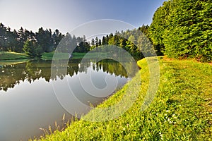 Grassy shore on Bakomi tajch water reservoir in Stiavnicke Vrchy mountains