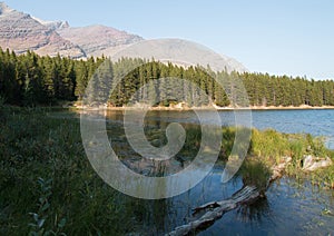 Grassy shore of Fishercap Lake in Glacier National Park in Montana USA photo