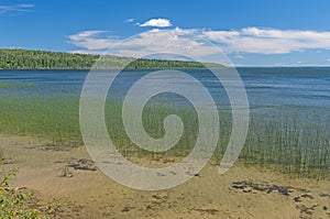 Grassy Shore on a North Woods Lake