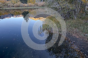 Grassy shoreline bank of lake with transparent water and autumn leaves