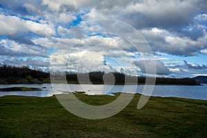 the grassy shoreline in a lake is very green and small