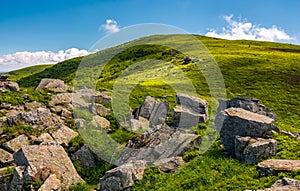 Grassy slope with boulders in summer