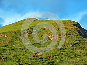 Grassy subalpine hill Bocki between Lake Sarnersee and the Melchtal Valley, Sachseln - Canton of Obwald, Switzerland