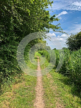 A grassy towpath next to a canal with blue sky in England