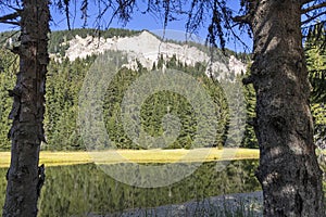 The Grassy Trevistoto Smolyan lake at Rhodope Mountains, Bulgaria photo