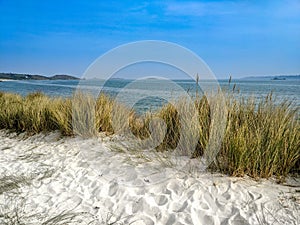 Grassy white sandy dunes with blue sea and sky