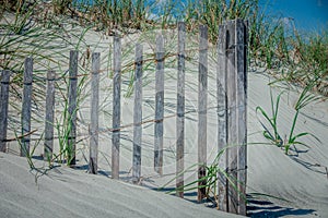 Grassy windy sand dunes on the beach