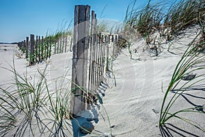 Grassy windy sand dunes on the beach