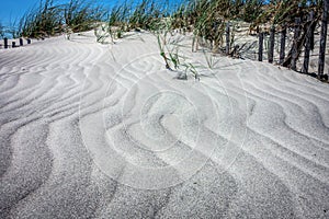 Grassy windy sand dunes on the beach