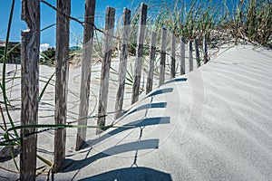 Grassy windy sand dunes on the beach