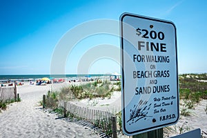 Grassy windy sand dunes on the beach