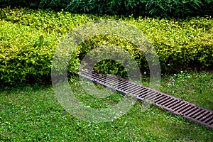 Grate drainage system on the lawn with green grass and bushes in the backyard.