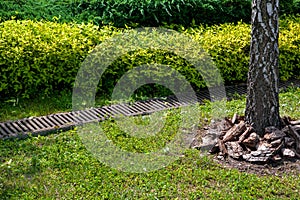 Grate drainage system on lawn with green grass and bushes in backyard garden.